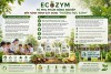 ECOZYM - TỪ PHỤ PHẨM NÔNG NGHIỆP ĐẾN HÀNH TRÌNH XÂY DỰNG "TRƯỜNG HỌC XANH"
